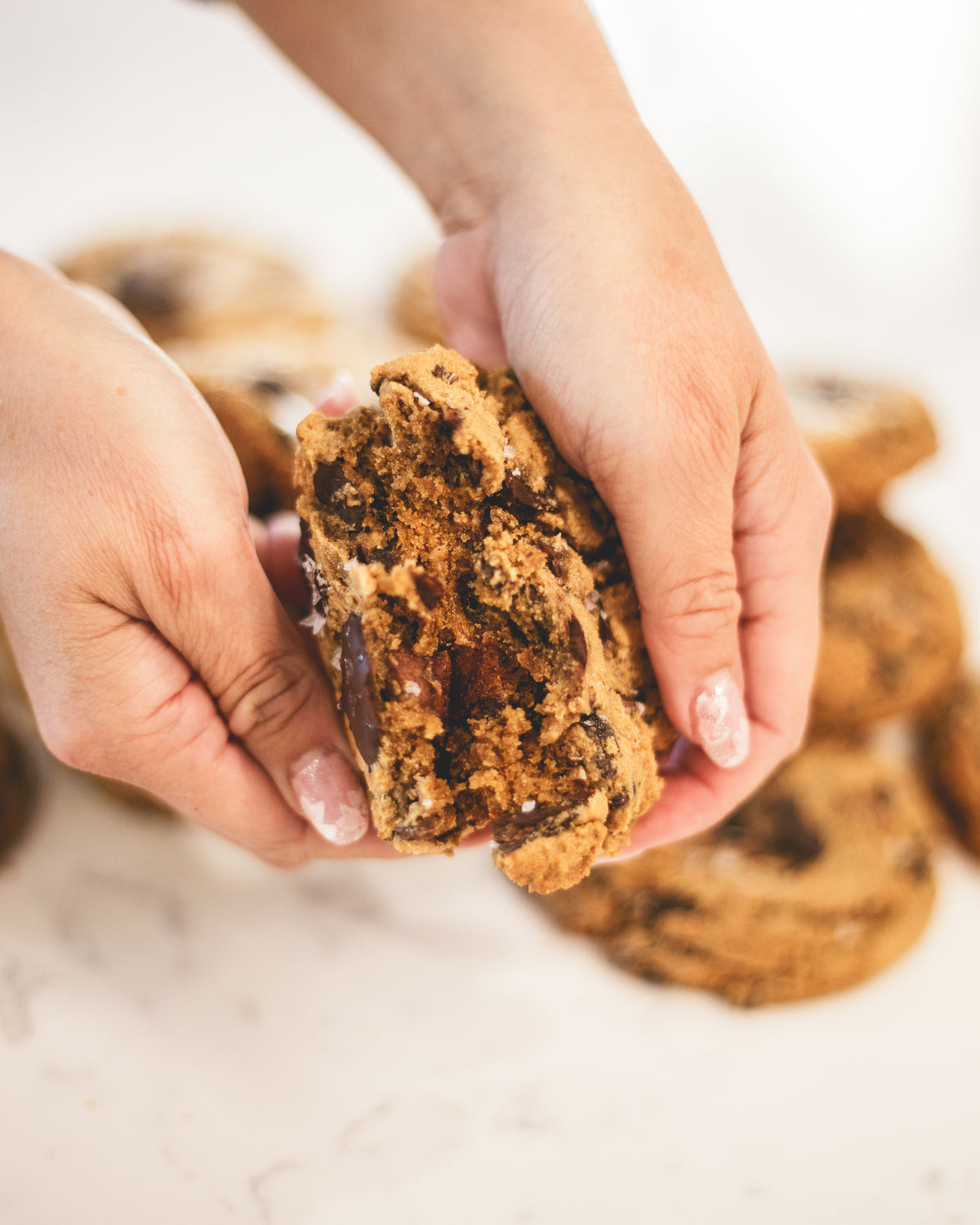 Chocolate chip drop cookie recipe PDF download, two versions